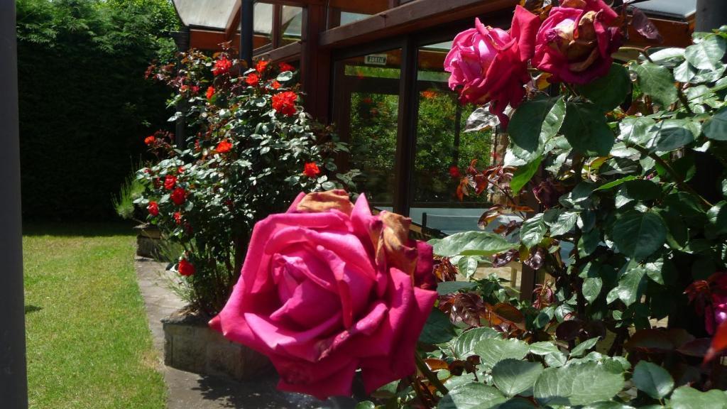 Logis La Rose Des Vents Hotel Волвик Екстериор снимка